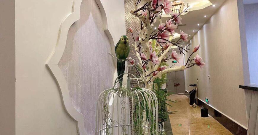 金牛区洗浴SPA印象足迹影院式SPA