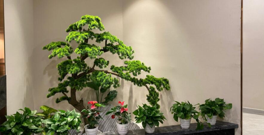 武侯足浴SPA会所_御尊足浴会馆