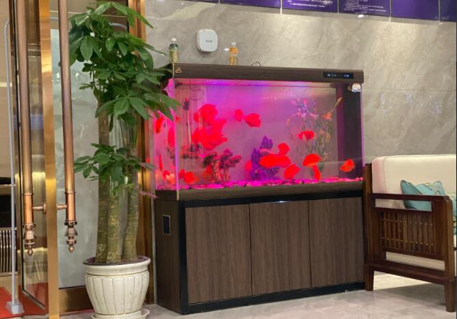 武侯足浴SPA会所_御尊足浴会馆