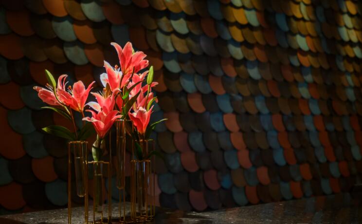 都江堰会所_都江堰足浴会所_康喜足浴