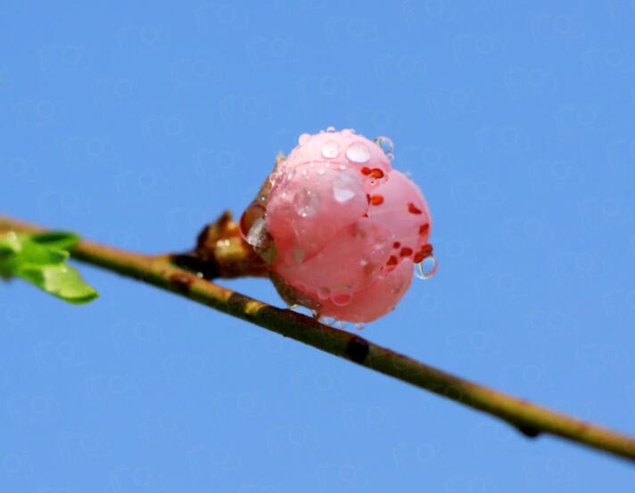 春季养生如何正确吃喝