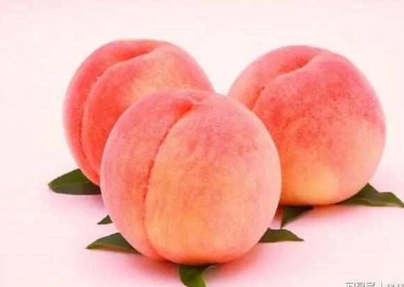 水果生吃还是熟吃